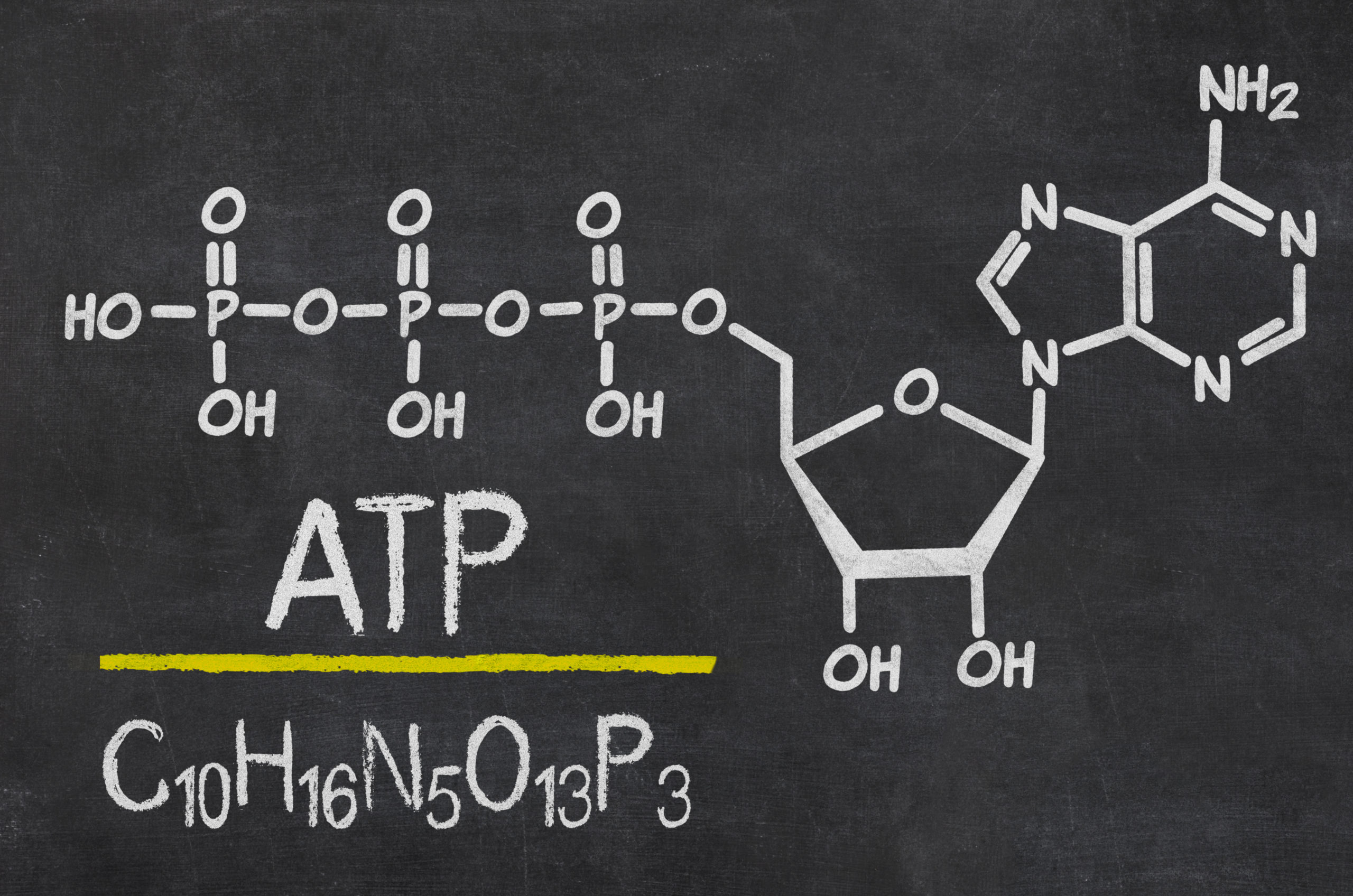 blackboard with the chemical formula of atp