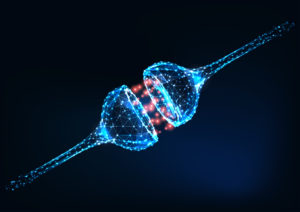 neural synapse, electric and chemical signals between two neurons, human nervous system.