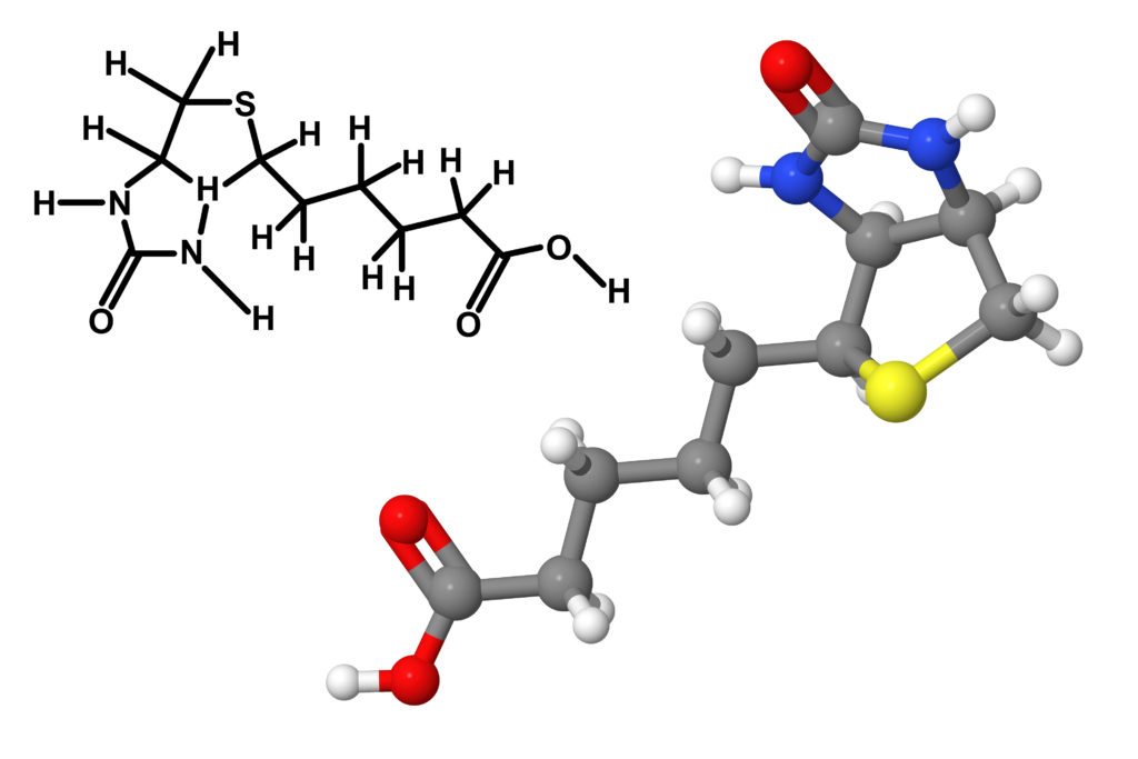 NAD+ (Nicotinamide adenine dinucleotide) and cellular processes.