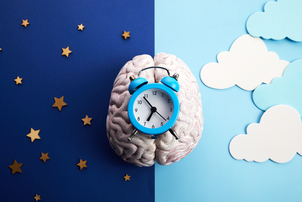 the circadian rhythms are controlled by circadian clocks or biological clock