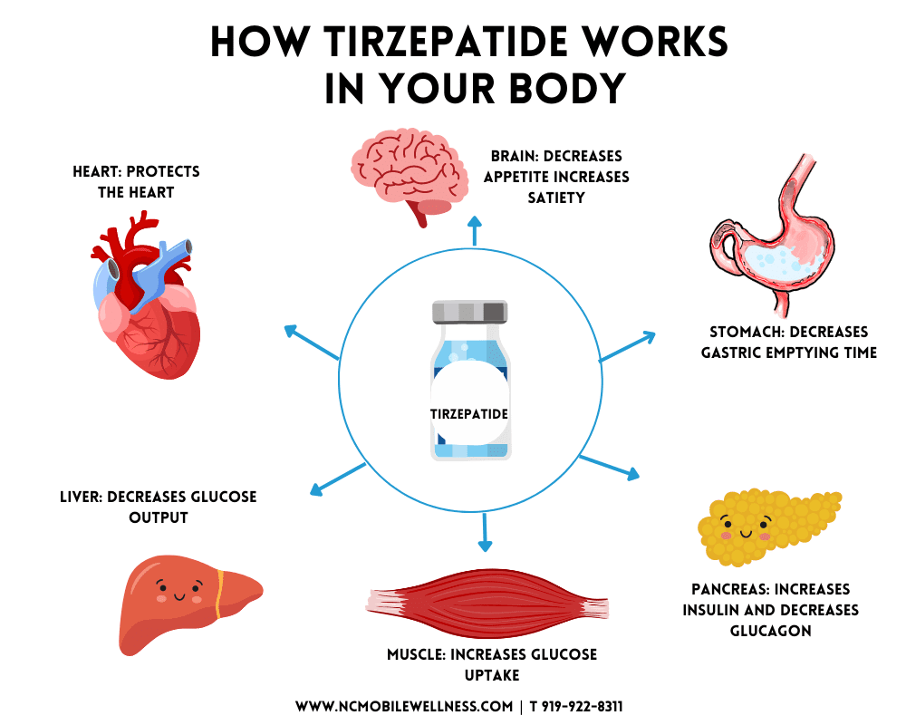 mounjaro tirzepatide 2